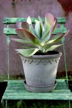 Bergs Potter Copenhagen Topf Grau, 35 Cm -Royal Design Angebote Möbel Store bergs potter copenhagen topf grau 3