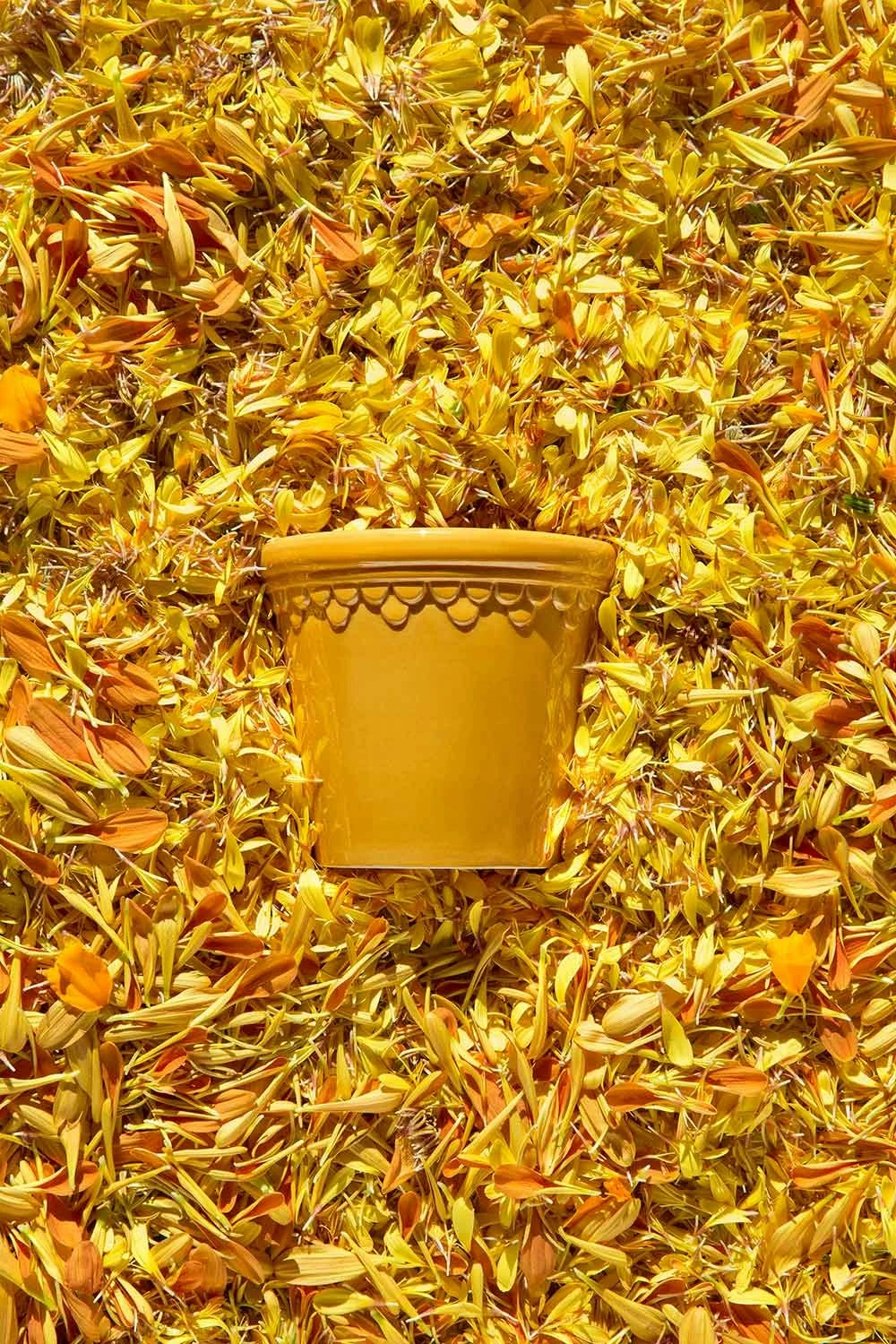 Bergs Potter Copenhagen Topf Mit Unterteller Gelb, Ø14 Cm 3 Bergs Potter Copenhagen Topf Mit Unterteller Gelb, Ø14 Cm – Bild 3