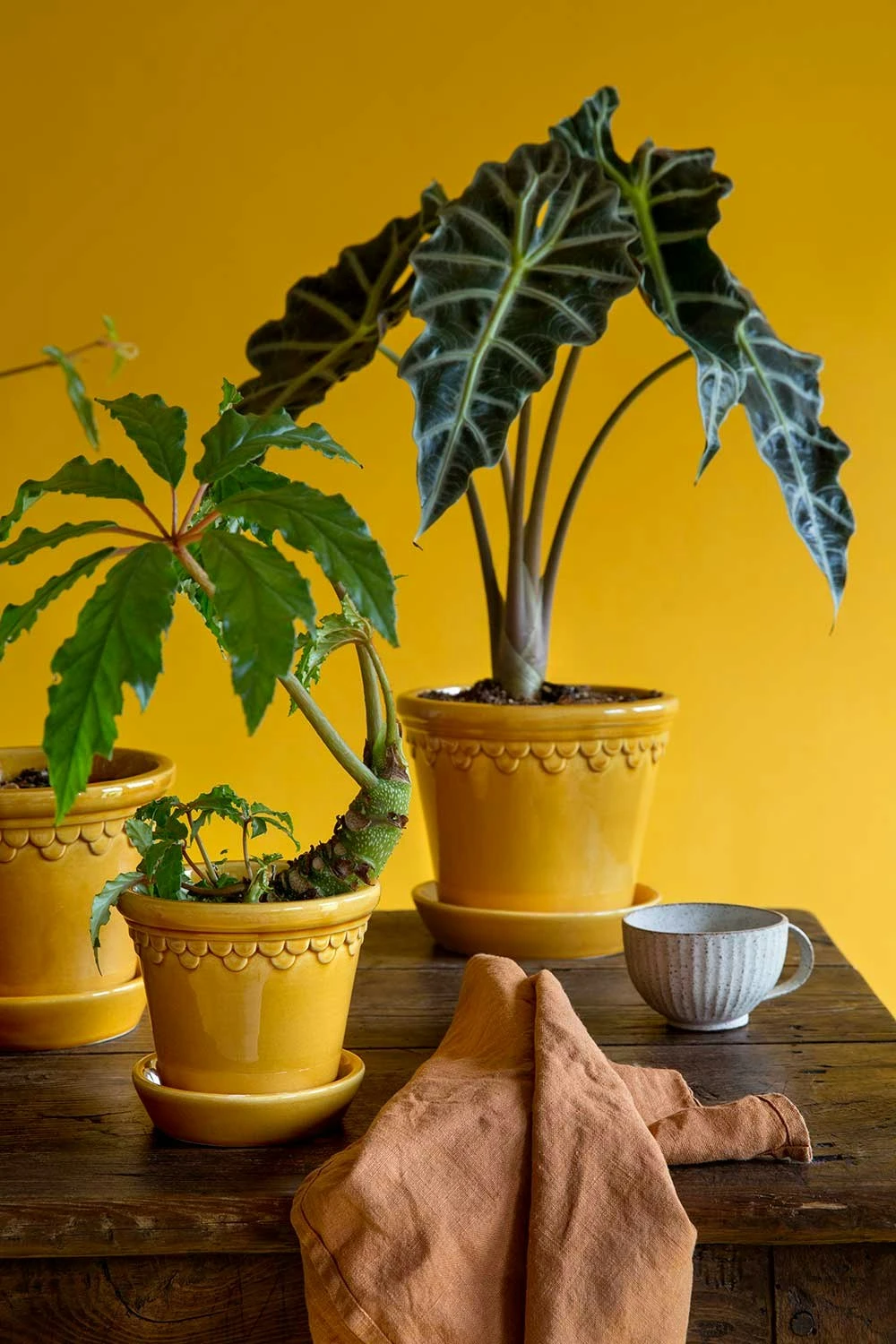 Bergs Potter Copenhagen Topf Mit Unterteller Gelb, Ø14 Cm 6 Bergs Potter Copenhagen Topf Mit Unterteller Gelb, Ø14 Cm – Bild 6