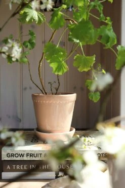 Bergs Potter Helena Topf Quartz Rose, 18 Cm 10 Bergs Potter Helena Topf Quartz Rose, 18 Cm -Royal Design Angebote Möbel Store bergs potter helena topf quartz rose 10