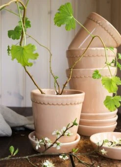 Bergs Potter Helena Topf Quartz Rose, 18 Cm 11 Bergs Potter Helena Topf Quartz Rose, 18 Cm -Royal Design Angebote Möbel Store bergs potter helena topf quartz rose 11