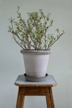 Bergs Potter Emilia Topf Grau, 25 Cm -Royal Design Angebote Möbel Store bergs potter topf emilia grau 1