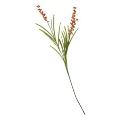 Royal Design Angebote Möbel Store 25 House Doctor Blume, Buckthorn