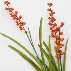 Royal Design Angebote Möbel Store -Royal Design Angebote Möbel Store house doctor blume 9