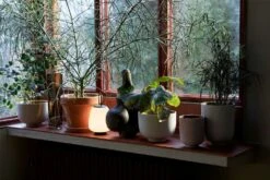 &Tradition Collect SC69 Übertopf SC69 Ø12x13 Cm, Milk -Royal Design Angebote Möbel Store tradition collect ubertopf sc69 dia12 x h13 cm 1