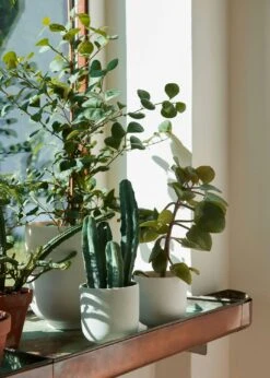 &Tradition Collect SC69 Übertopf SC69 Ø12x13 Cm, Milk -Royal Design Angebote Möbel Store tradition collect ubertopf sc69 dia12 x h13 cm 18