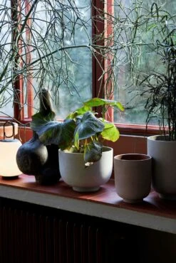 &Tradition Collect SC69 Übertopf SC69 Ø12x13 Cm, Milk -Royal Design Angebote Möbel Store tradition collect ubertopf sc69 dia12 x h13 cm 2